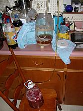 Racking to secondary.  Primary was a ~2 gallon container that used to hold pretzel sticks.  Secondary is a 1 gallon apple juice container.
